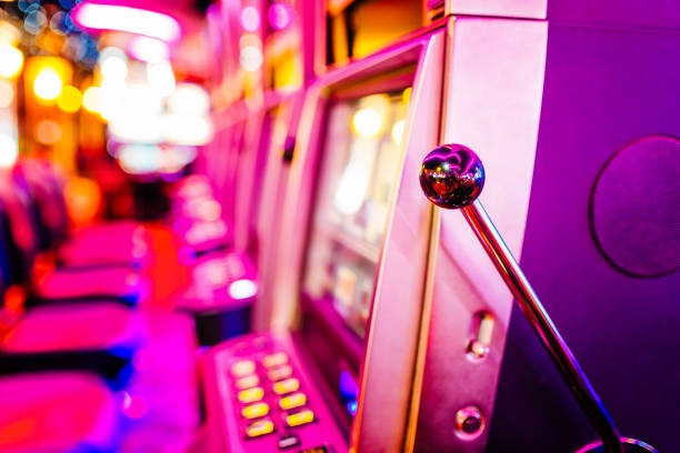 gajah 3d togel Games beside each other